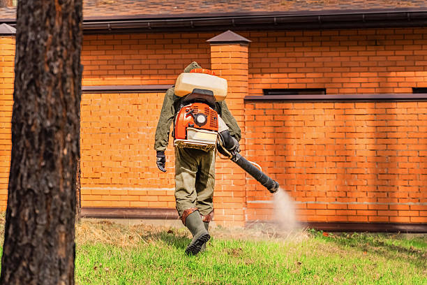 Bed Bug Clearance Verification and Documentation in Hennessey